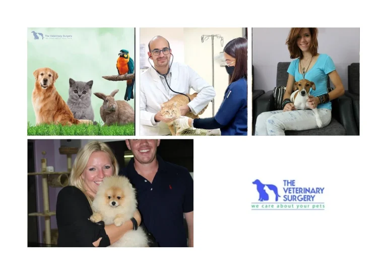 Trusted Doha Vet Clinic Offering Expert Veterinary Care and Compassionate Services