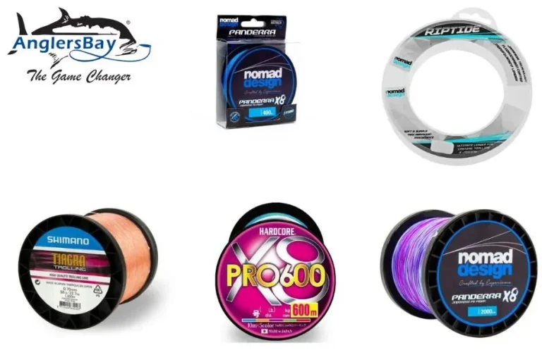 Fishing Gear Checklist for Gear You’ll Rely on from Anglersbay.com