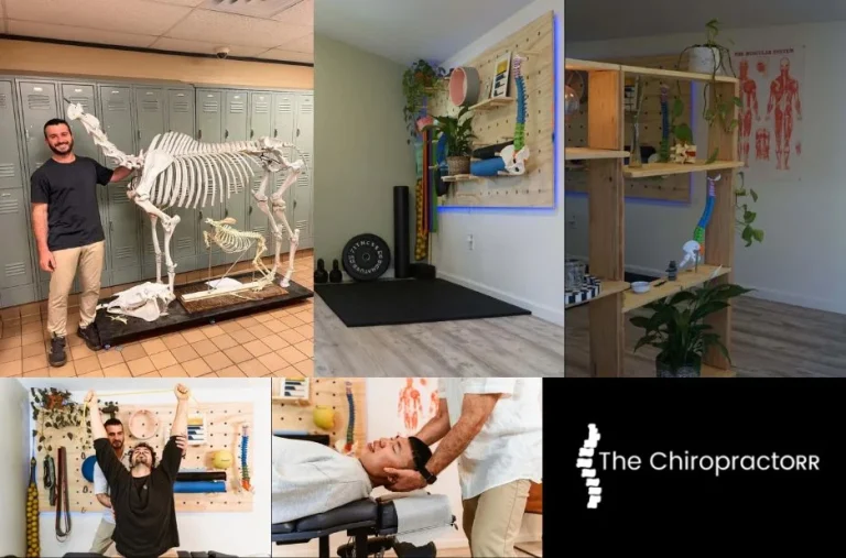 How to Choose the Right Chiropractor in Campbell for Effective Pain Relief and Wellness