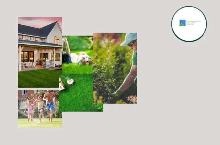Effective Customized Lawn Fertilization Plans for a Healthier, Greener Yard