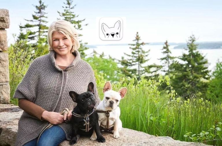 How DWKC Papers Help Verify Your French Bulldog’s Pedigree and Health How DWKC Papers Help Verify Your French Bulldog’s Pedigree and Health