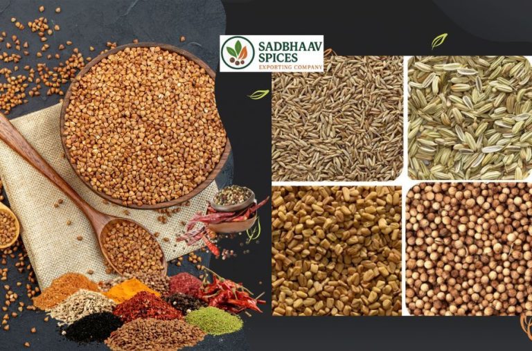 Trusted Coriander Seeds Supplier for Fresh, Pure Bulk Supply Worldwide Trusted Coriander Seeds Supplier for Fresh, Pure Bulk Supply Worldwide