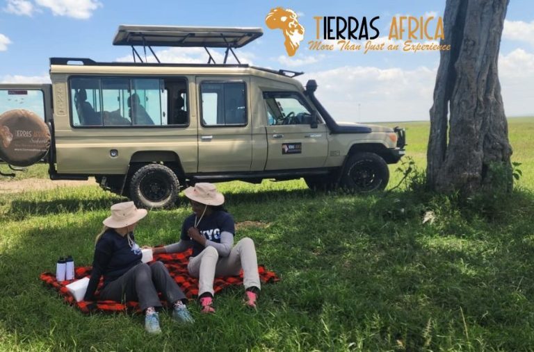 Kenya Safari Holidays: Expert-Guided Wildlife Tours by Tierras Africa Safaris Limited Kenya Safari Holidays: Expert-Guided Wildlife Tours by Tierras Africa Safaris Limited