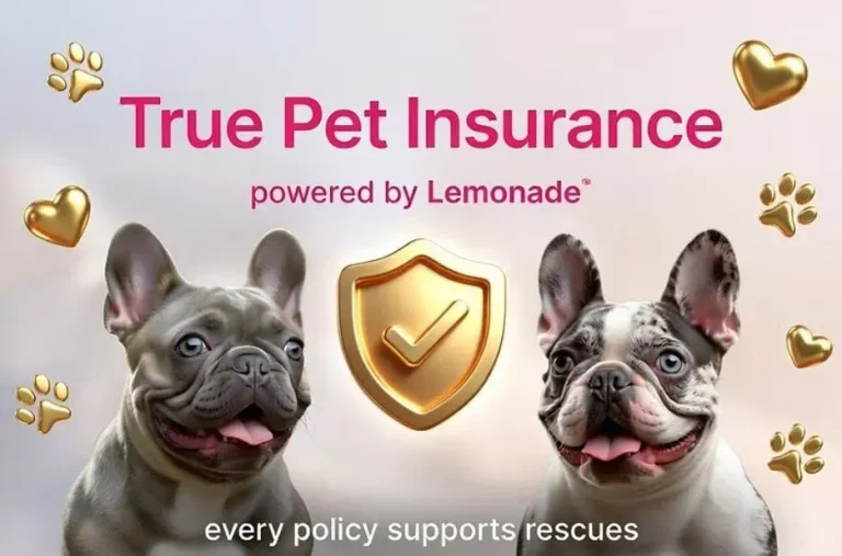 True Panion Pet Insurance: Key Benefits and Coverage Highlights for Pet Parents True Panion Pet Insurance: Key Benefits and Coverage Highlights for Pet Parents
