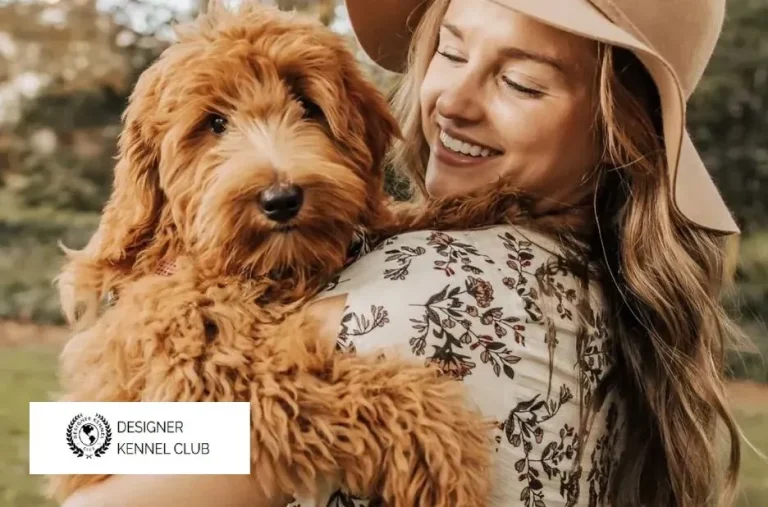 ckc Registration: Verified Steps for Trustworthy Designer Kennel Club Enrollment ckc Registration: Verified Steps for Trustworthy Designer Kennel Club Enrollment