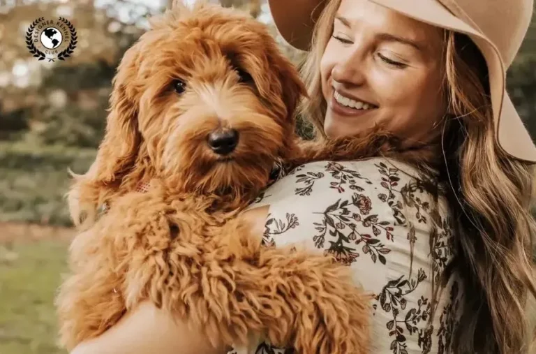 How to Get Papers on a Dog Through Designer Kennel Club Registration How to Get Papers on a Dog Through Designer Kennel Club Registration