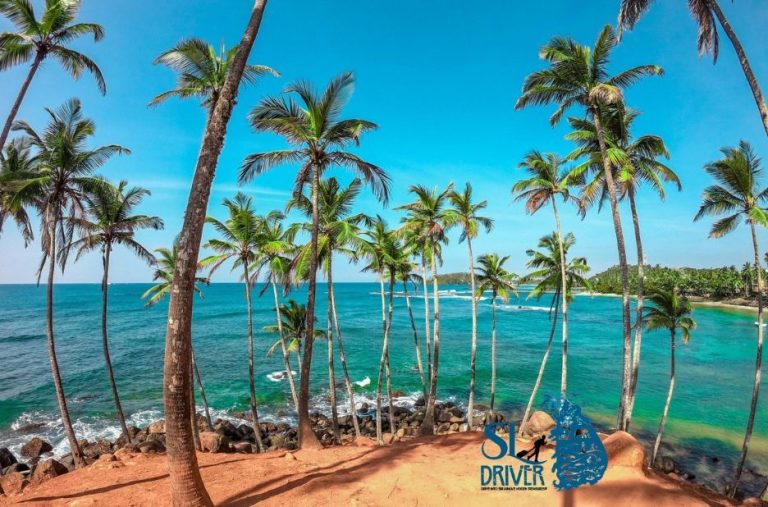 East to Central Sri Lanka Heritage: Trusted Local Driver for Culture and Scenic Trails