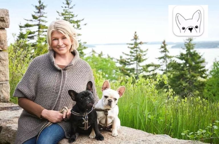 How to Get Dog Registration Papers Without Papers: A Practical Checklist How to Get Dog Registration Papers Without Papers: A Practical Checklist