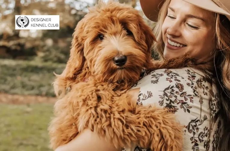 Dog Papers Buyer Intent Guide: Registration and Documentation Essentials for Owners