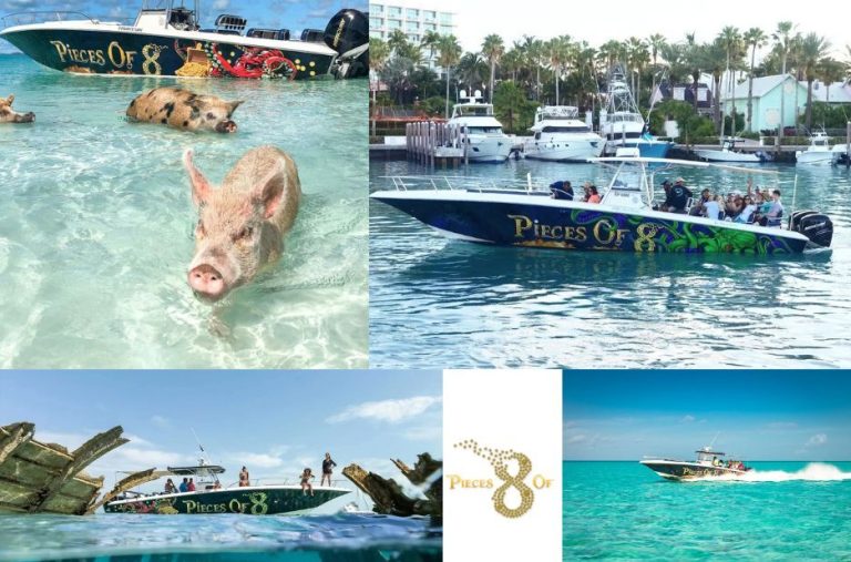 Paradise Island Los Angeles Checklist for Booking with Pieces of 8 Tours Ltd Paradise Island Los Angeles Checklist for Booking with Pieces of 8 Tours Ltd