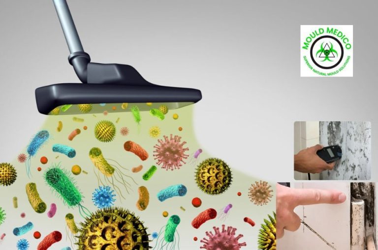 Fast, Reliable Emergency Mould Help for Noosa Homes