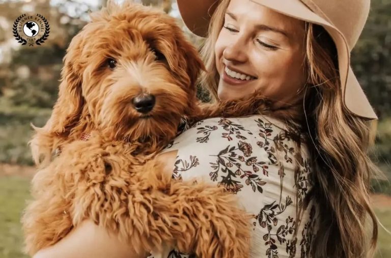 How to Get Maltipoo Registration Papers Without AKC How to Get Maltipoo Registration Papers Without AKC