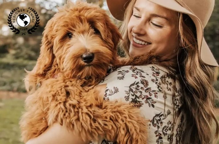 How to Get Papers for a Dog Without Papers: Registration Steps and Requirements