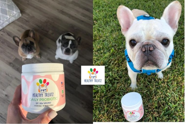 Buyer’s Guide to a Joint Supplement for French Bulldogs