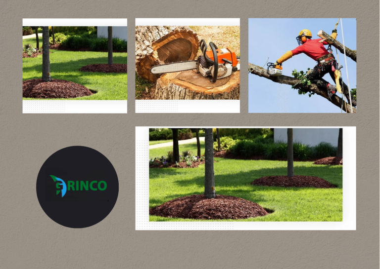 Trustworthy Tree Pruning in Melbourne for Safer Growth Trustworthy Tree Pruning in Melbourne for Safer Growth