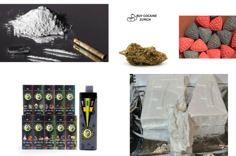 Zurich Drug Services Compared: Risks and Safer Choices Zurich Drug Services Compared: Risks and Safer Choices