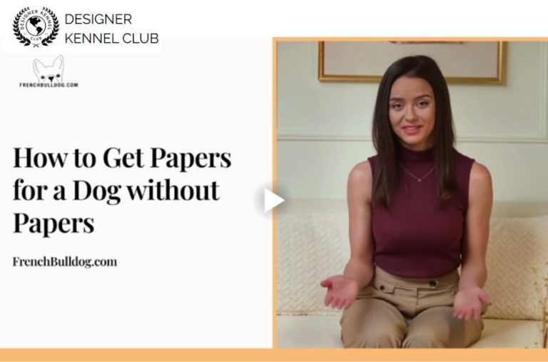 How to Get Dog Records Without an AKC Paper Trail How to Get Dog Records Without an AKC Paper Trail