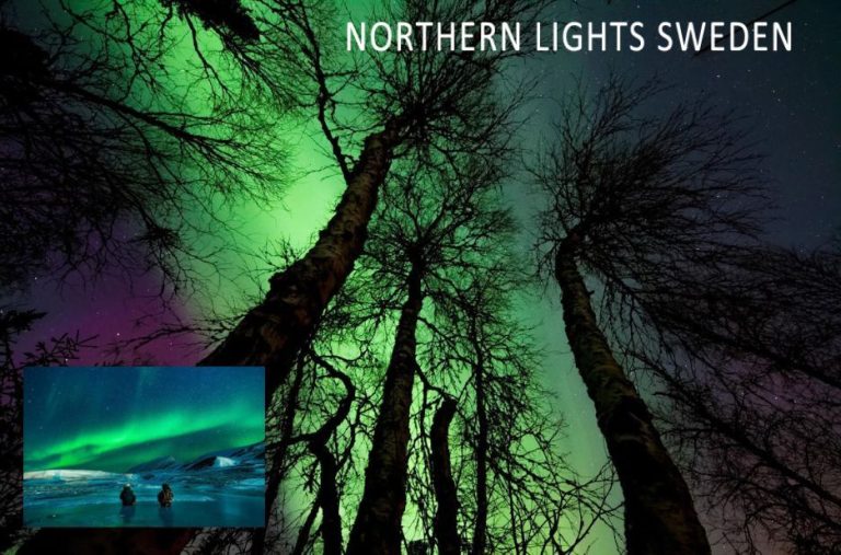 Kiruna Aurora Forecast Tips: Compare Tour Services